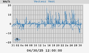 Wind Vector