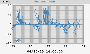 Wind Vector