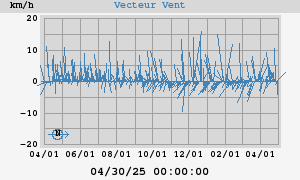 Wind Vector